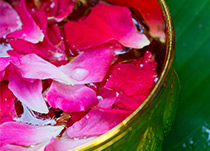 Piping Rock Heritage Rosewater Glycerin